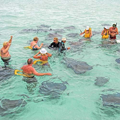 Snorkelers standing in clear shallow water